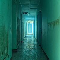Green Hallway